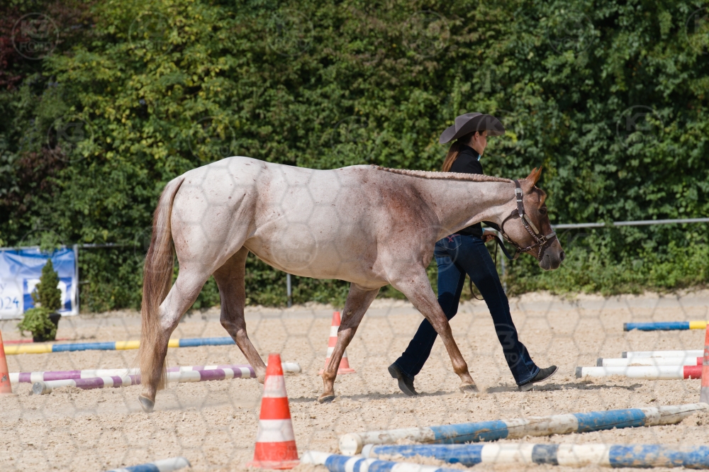 s_batch_A9_00134.jpg